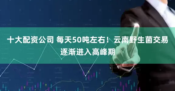 十大配资公司 每天50吨左右！云南野生菌交易逐渐进入高峰期