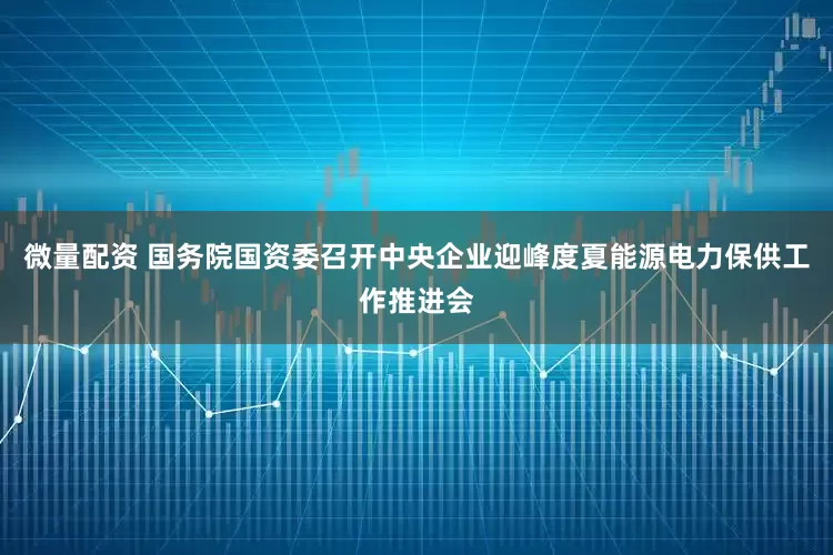 微量配资 国务院国资委召开中央企业迎峰度夏能源电力保供工作推进会