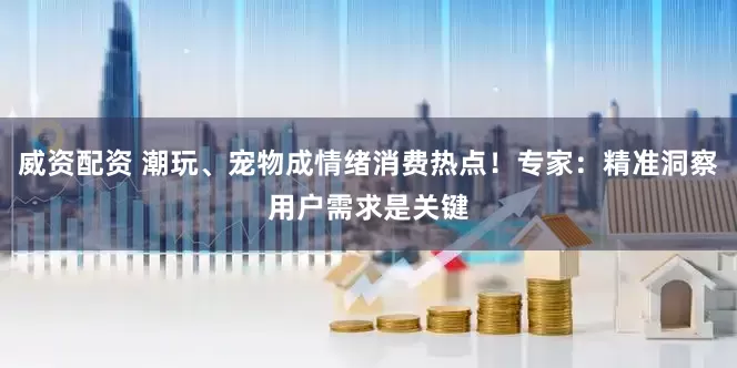 威资配资 潮玩、宠物成情绪消费热点！专家：精准洞察用户需求是关键