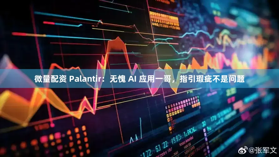 微量配资 Palantir：无愧 AI 应用一哥，指引瑕疵不是问题