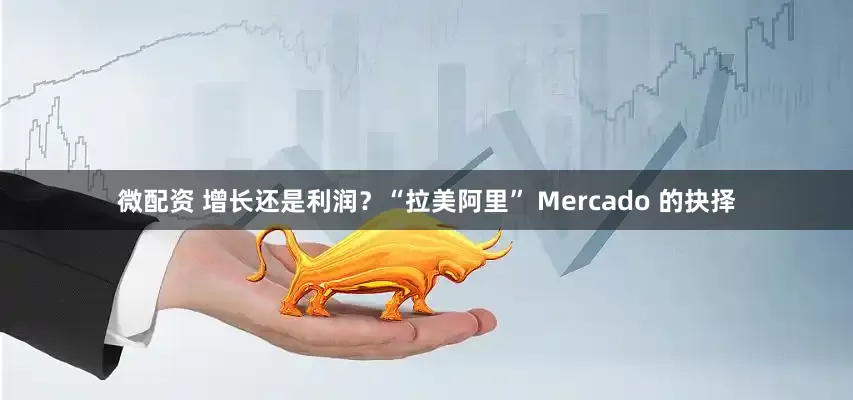 微配资 增长还是利润？“拉美阿里” Mercado 的抉择